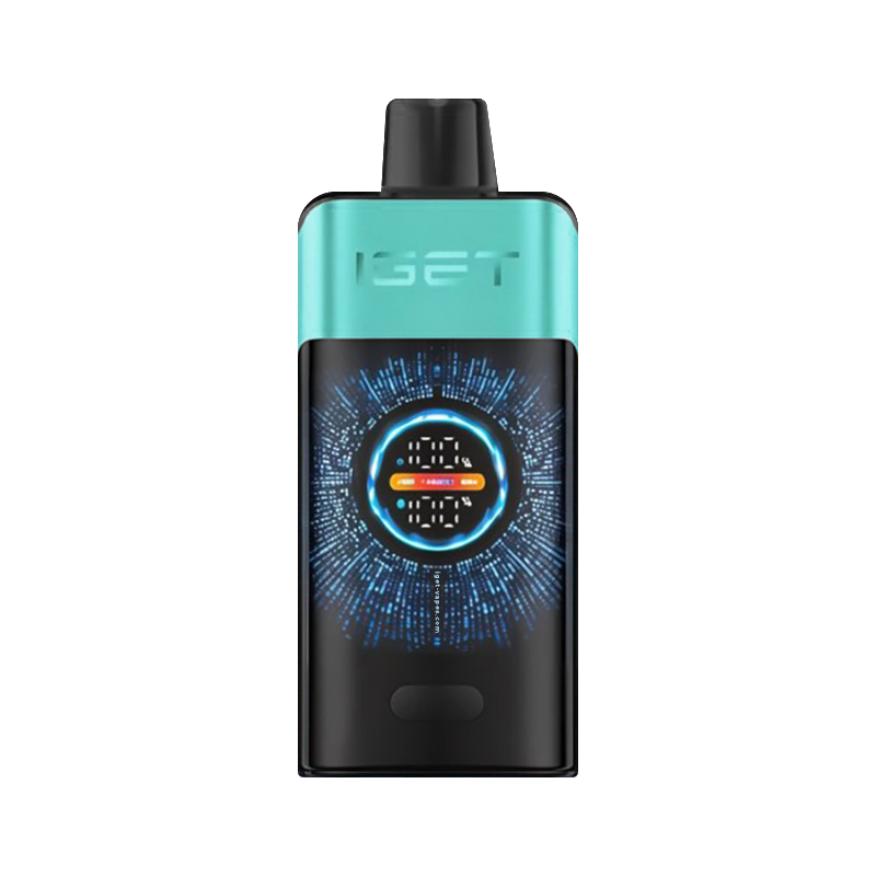 IGET ONE 12000 Puffs Mountain Spring Mint Ice