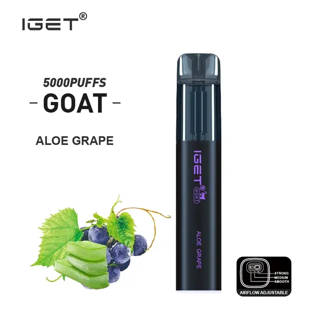 Aloe Grape, IGET Goat 5000 Puffs