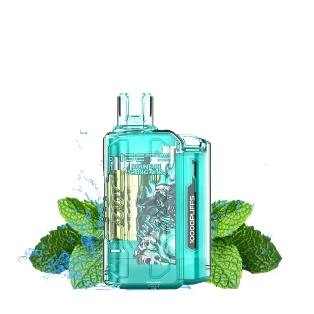 Mountain Spring Mint, IGET Flare B10000 Puffs