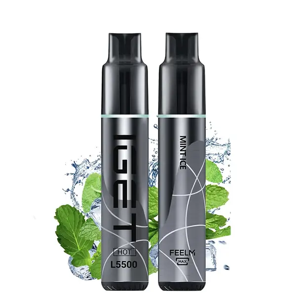 Mint Ice, IGET HOT 5500 Puffs