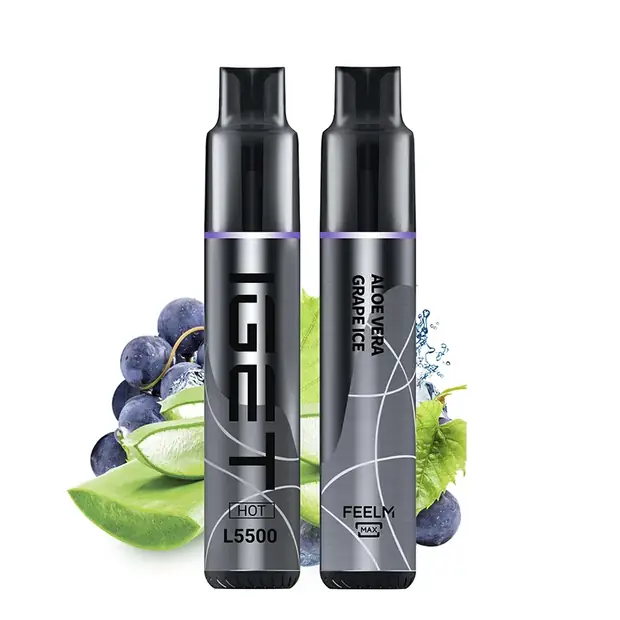 Aloe Vera Grape Ice, IGET HOT 5500 Puffs